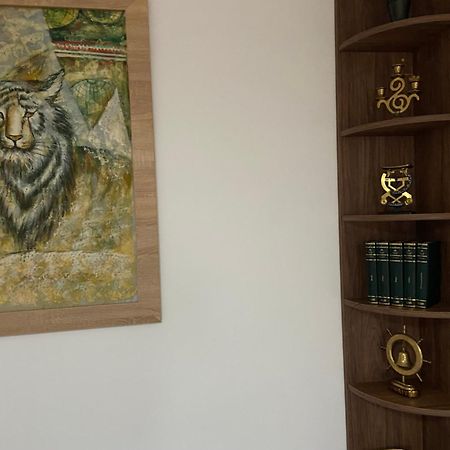 브라쇼브 Casa Mountain View 빌라 외부 사진