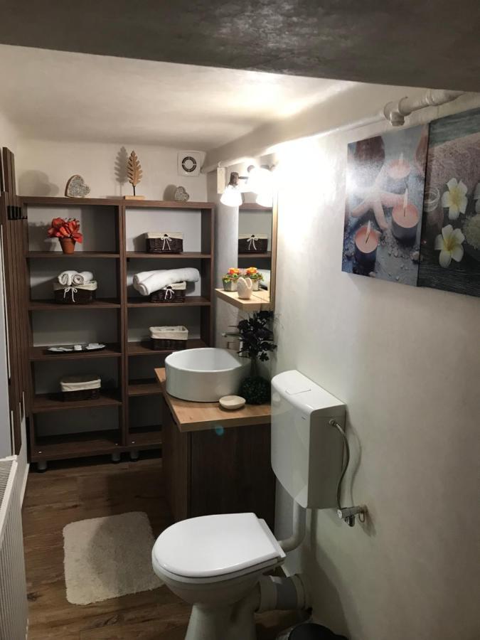 브라쇼브 Casa Mountain View 빌라 외부 사진