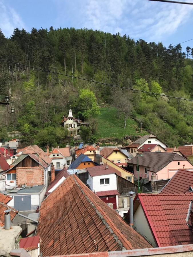 브라쇼브 Casa Mountain View 빌라 외부 사진