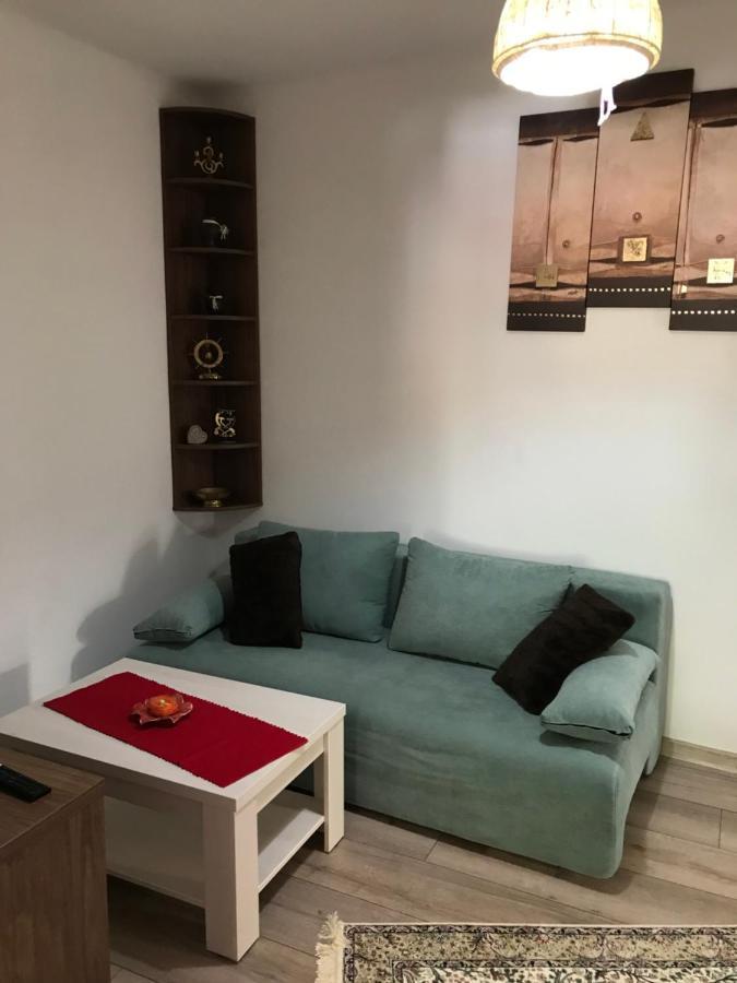 브라쇼브 Casa Mountain View 빌라 외부 사진