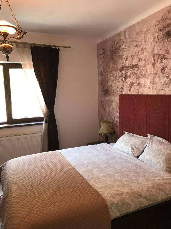브라쇼브 Casa Mountain View 빌라 외부 사진