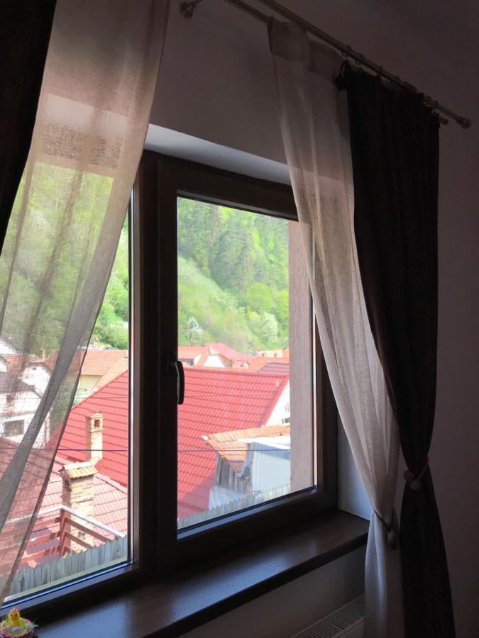 브라쇼브 Casa Mountain View 빌라 외부 사진