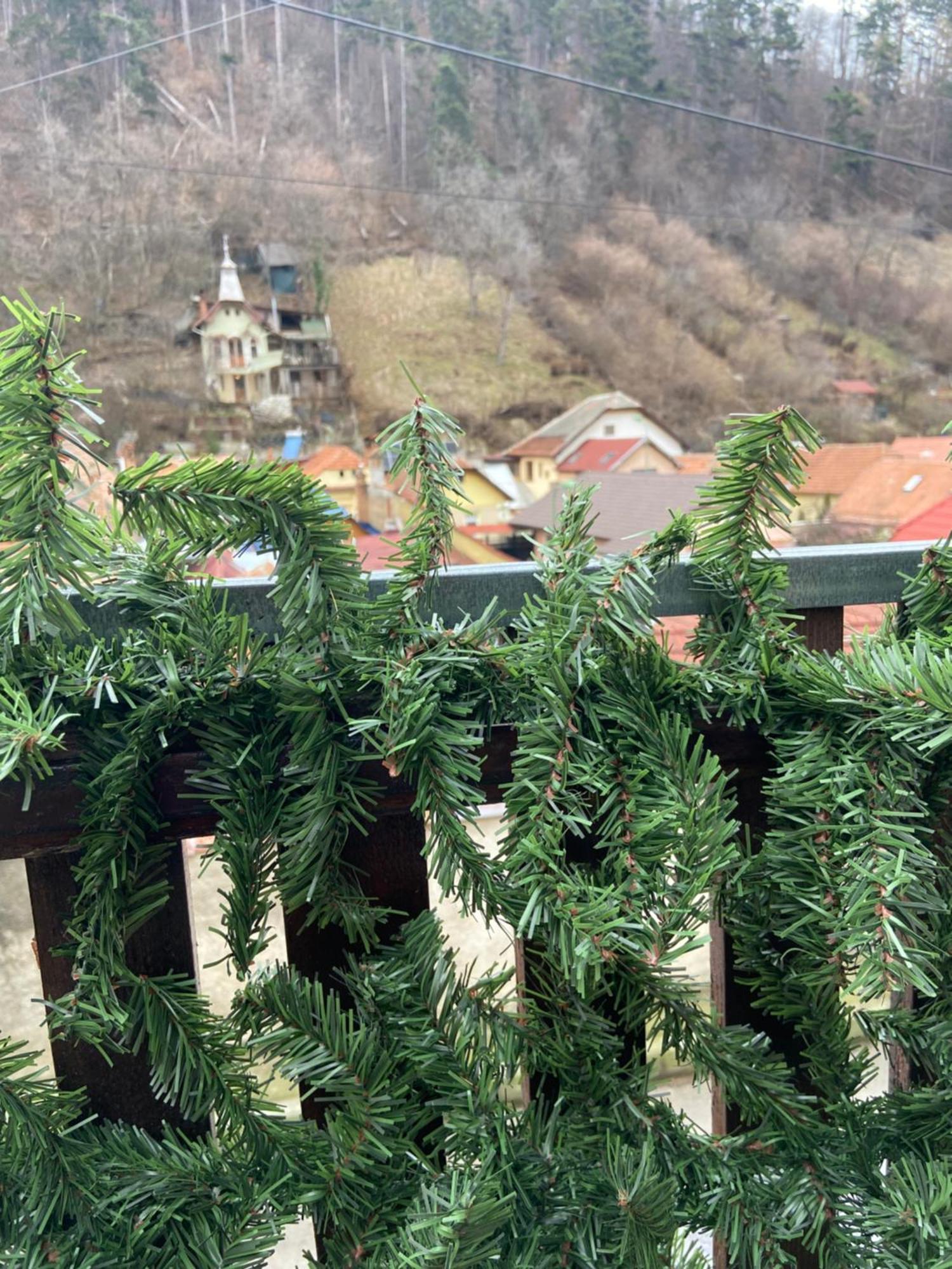 브라쇼브 Casa Mountain View 빌라 외부 사진