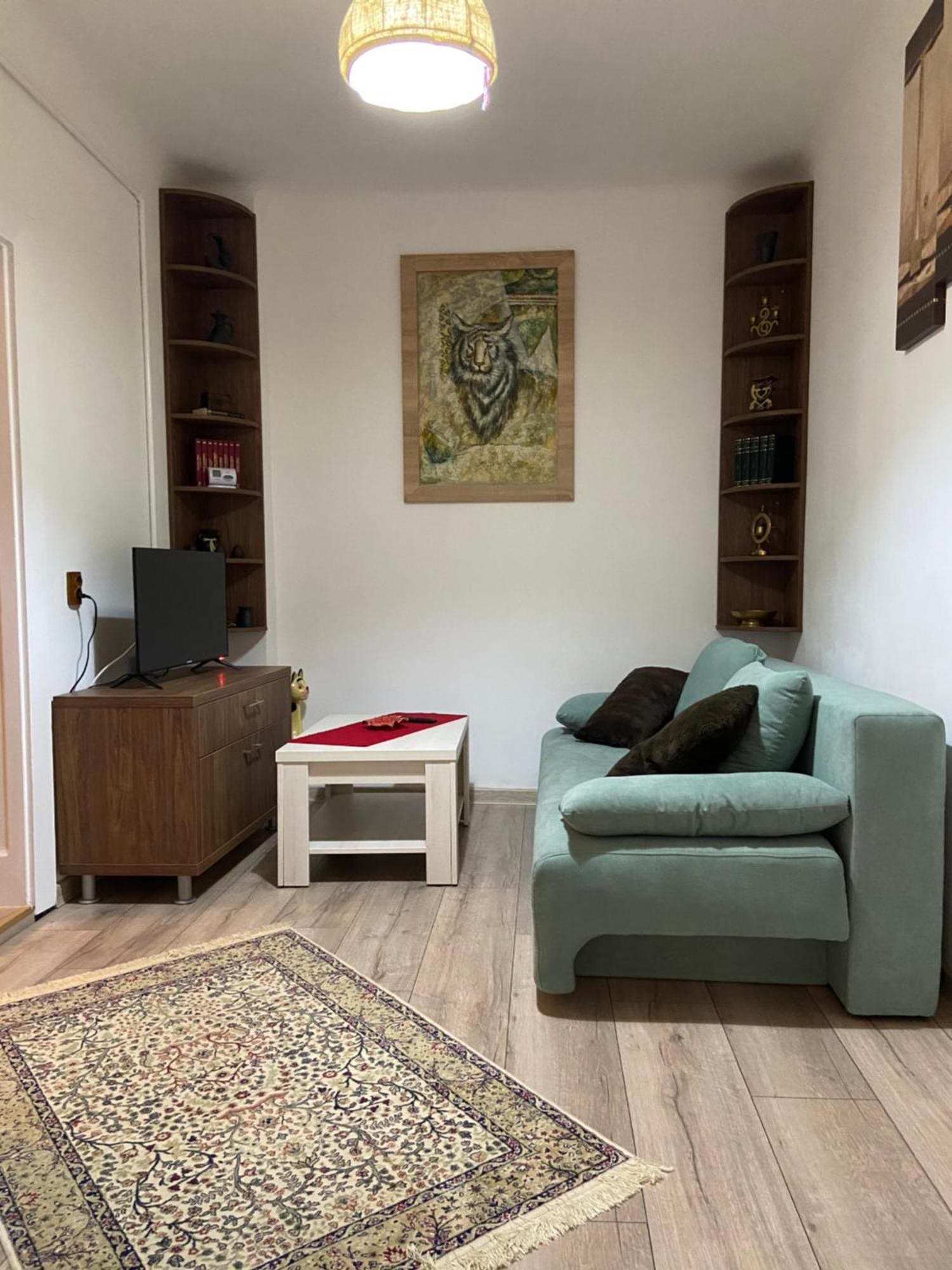 브라쇼브 Casa Mountain View 빌라 외부 사진